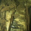 Cheers! — 18th century bottles of champagne discovered in shipwreck