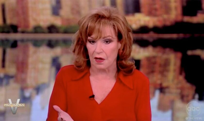 Joy Behar disagrees with Democrats calling JD Vance, Trump 'weird': 'Take the high road'