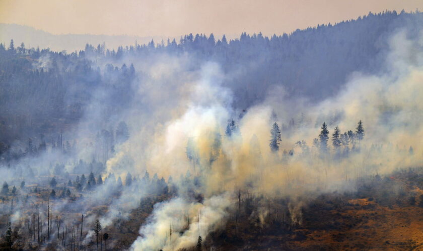 Incendie entre l'Hérault et l'Aude : circonscrit grâce à un dispositif impressionnant, les images