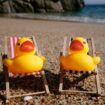 What are ‘quackers’? Inside the cruise scavenger hunt community obsessed with rubber ducks