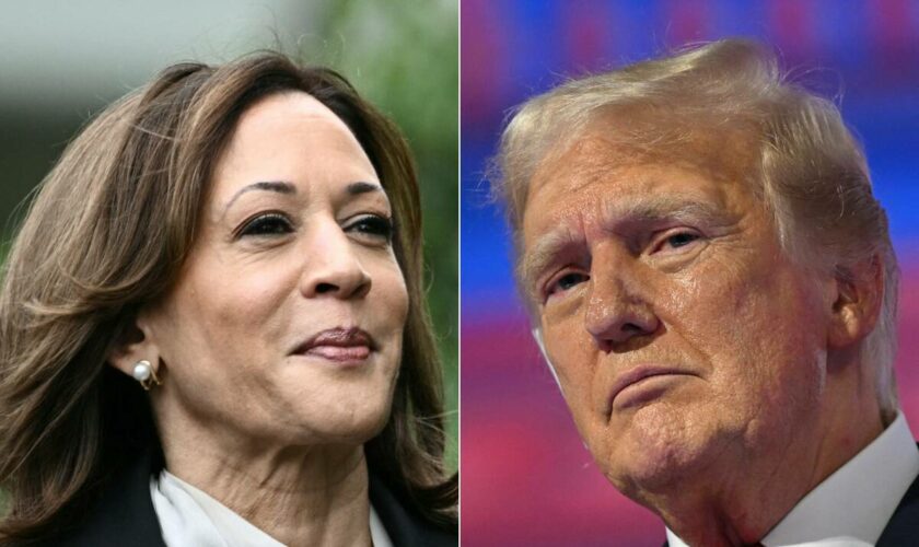 Présidentielle américaine : Kamala Harris « prête » à un débat, Donald Trump le juge « inopportun »