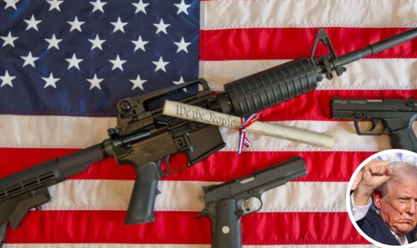 AR-15, el rifle más utilizado en los tiroteos masivos en EE.UU. y empleado en el ataque a Trump