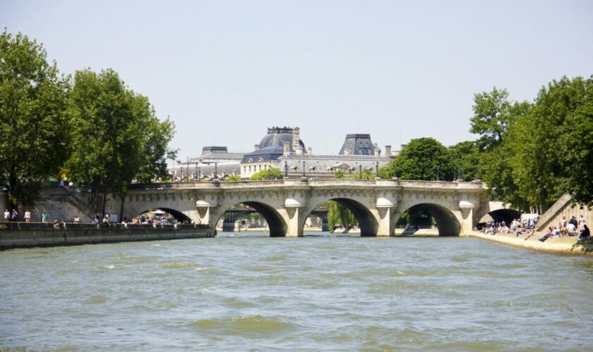 Anne Hidalgo heurtée par un vélib lors de son bain dans la Seine