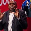 David Lammy slammed by former US ambassador Woody Johnson over decision to brand Donald Trump a 'neo-Nazi' - as billionaire warns it was 'not wise' and will not be forgotten