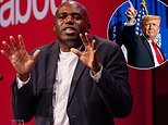 David Lammy slammed by former US ambassador Woody Johnson over decision to brand Donald Trump a 'neo-Nazi' - as billionaire warns it was 'not wise' and will not be forgotten