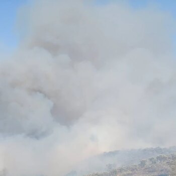 Desalojadas 70 viviendas y cortadas dos carreteras por un incendio forestal en la localidad granadina de Víznar