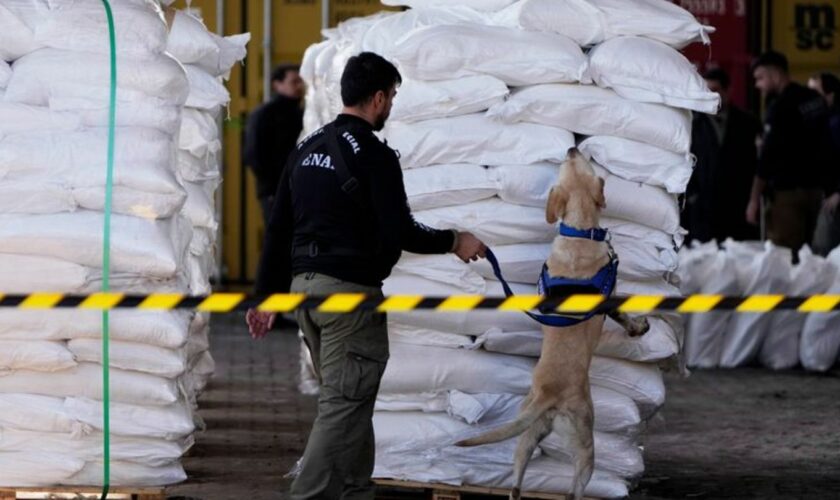 Das Rauschgift hätte nach Angaben der Ermittler in Europa einen Marktwert von rund 220 Millionen Euro. Foto: Jorge Saenz/AP