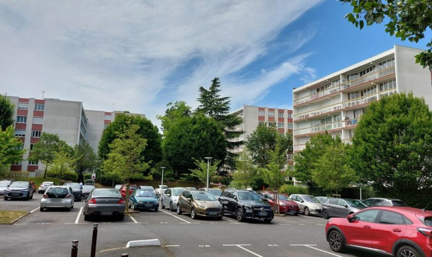 Essonne : coups de ceinture, de couteau… Il faisait vivre un enfer à sa compagne