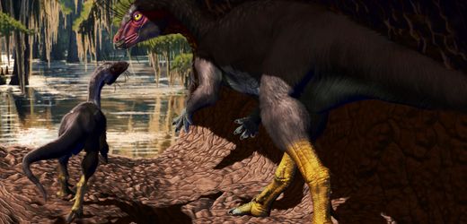 Fona herzogae: Dieser Dino soll unter der Erde gelebt haben