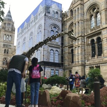 La atracción turística del verano en Londres: un jardín 'jurásico'