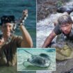 Mystery of Steve Irwin's death tape - what happened to lost footage of last moments