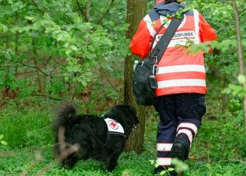 Nordrhein-Westfalen: Vermisstes Mädchen aus Mechernich wieder da