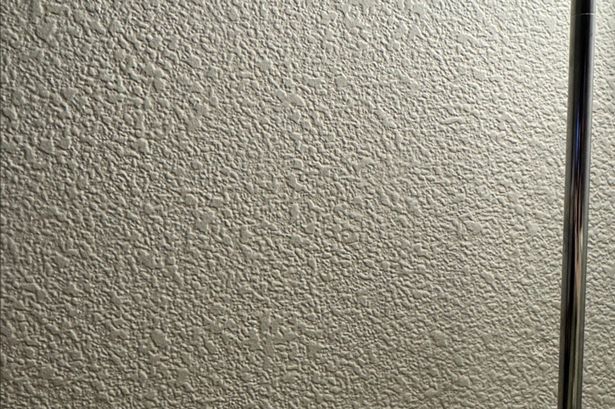 Only those with razor-sharp eyesight can find screw hidden in white wall