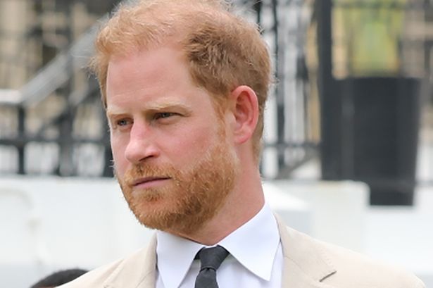 Prince Harry finding himself in 'strange unfamiliar world which grows increasingly unfriendly'