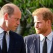 Prince Harry takes swipe at William's 'alarming' hair loss as 'resemblance to Diana faded'