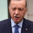 Recep Tayyip Erdoğan verteidigt »Wolfsgruß«-Jubel von Merih Demiral