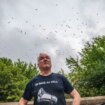 Thousands of 'apocalyptic' seagulls invade UK town covering it in poo