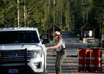 Verhinderter Amoklauf im Yellowstone-Nationalpark: Schütze wollte offenbar Blutbad anrichten