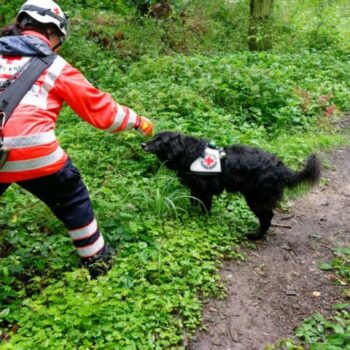 Polizei sucht mit Großaufgebot nach vermisstem Mädchen Foto: Henning Kaiser/dpa