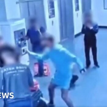 Video shows lead-up to police airport kick incident