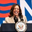 What coconut trees and Charli XCX’s ‘Brat’ have to do with Kamala Harris