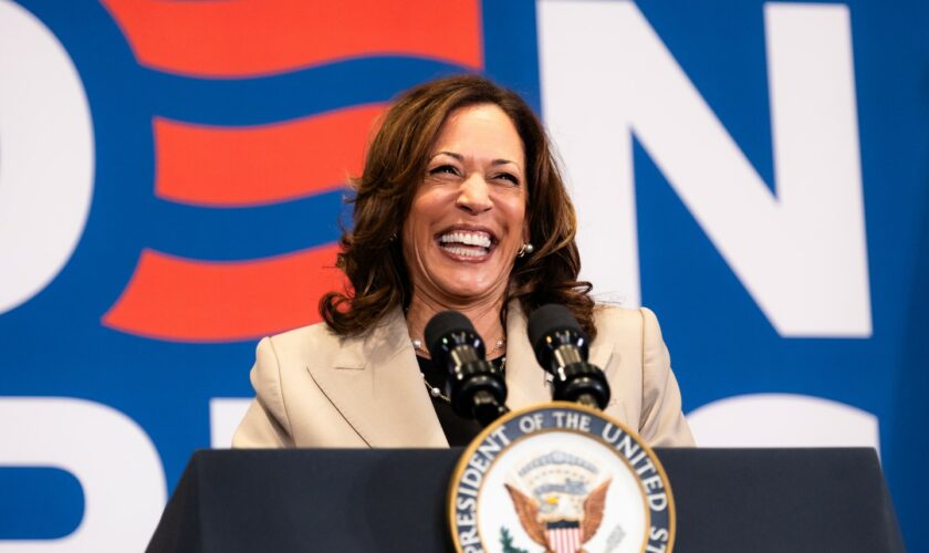 What coconut trees and Charli XCX’s ‘Brat’ have to do with Kamala Harris