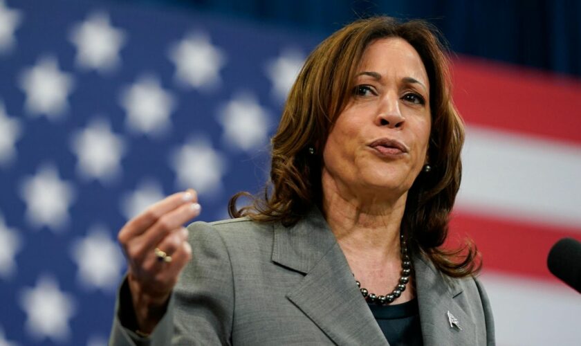 stern-Chefredakteur analysiert: Wie wird Kamala Harris von den Demokraten in Position gebracht?