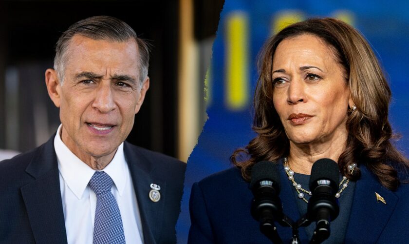 Border district Republican invites Kamala Harris to view crisis firsthand: 'Sticks out like a sore thumb'