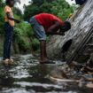 Epidémie de choléra à Mayotte : pourquoi il ne faut pas encore crier victoire