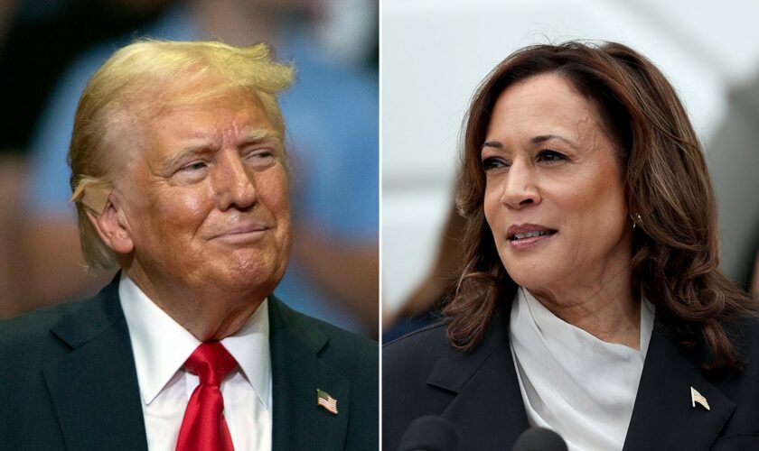 2024 Cash Dash: Harris fundraising surge more than doubles Trump's haul last month