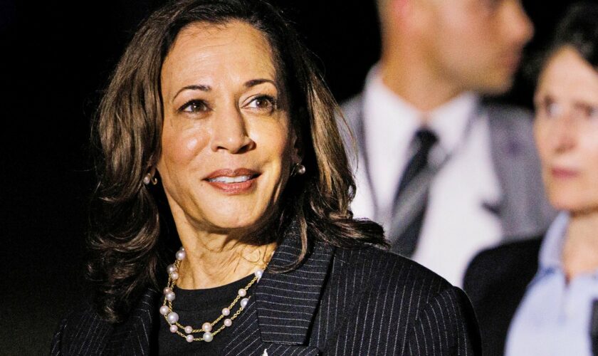 US-Präsidentschaftswahlen: Harris erhält genug Delegiertenstimmen für Präsidentschaftskandidatur