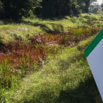 Gelungene Wiedervereinigung im Dienste der Natur – Kolumne „Zurück zur Natur“