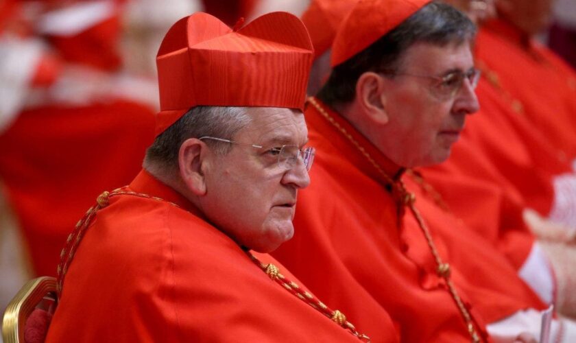 Cardinal Burke condemns Paris Olympics opening appearing to parody Last Supper: 'Theater of Satan'