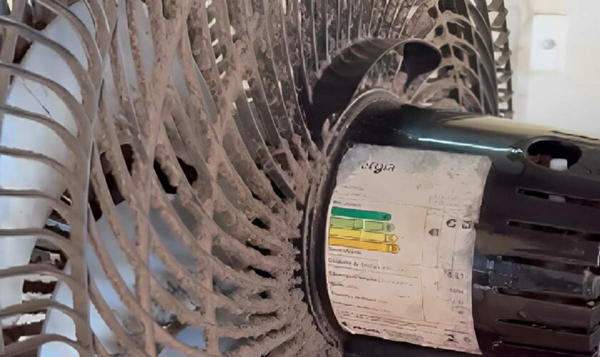 Nettoyer un ventilateur sans le démonter, c'est possible - deux ingrédients suffisent