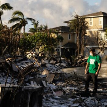 Gerichtsurteil: Waldbrandgeschädigte auf Hawaii erstreiten vier Milliarden Dollar