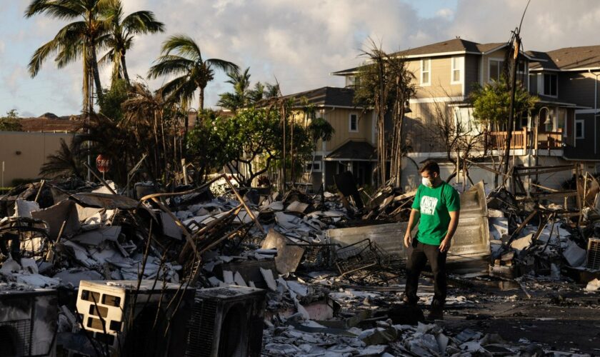 Gerichtsurteil: Waldbrandgeschädigte auf Hawaii erstreiten vier Milliarden Dollar