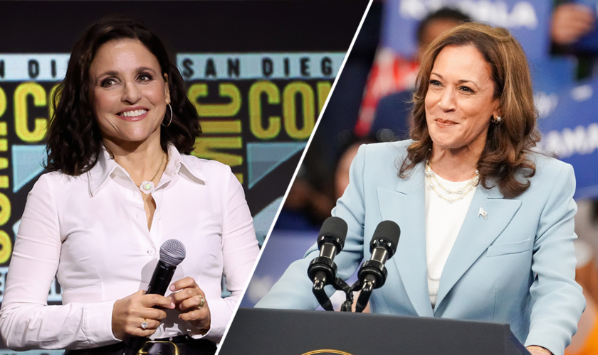 Julia Louis-Dreyfus is 'delighted' by 'Veep' resurgence after Harris bid, hopes it helps her campaign