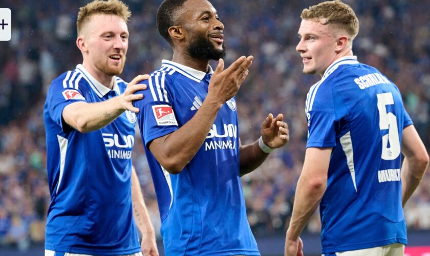 Königsblaues Zukunftsprojekt: Schalker Blitzstart in den Dauerlauf