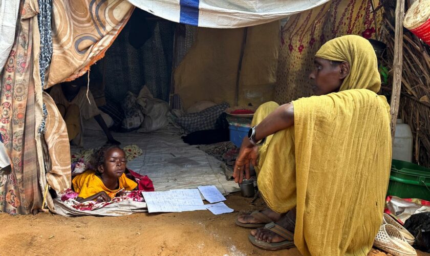 A displaced Sudanese woman rests inside a shelter at Zamzam camp, in North Darfur, Sudan, August 1, 2024. REUTERS/Mohamed Jamal Jebrel