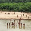 Reclusive tribe attacks loggers suspected of encroaching on their land in Peru's Amazon