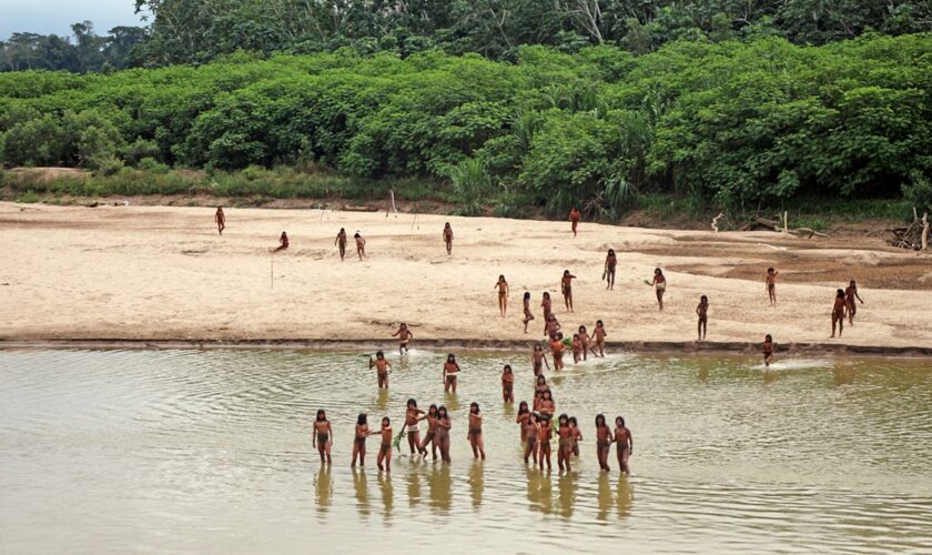 Reclusive tribe attacks loggers suspected of encroaching on their land in Peru's Amazon