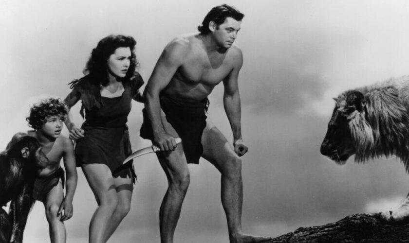 Quiz : Tarzan, le quiz de la jungle