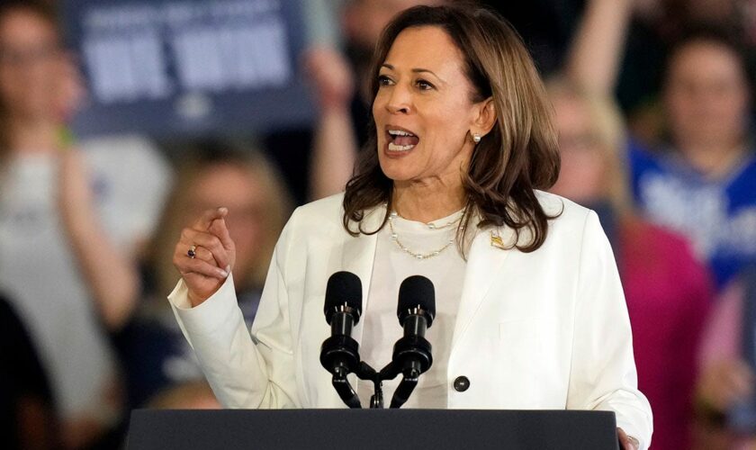 Kamala Harris shuts down anti-Israel protesters during campaign speech in Michigan: 'I'm speaking'