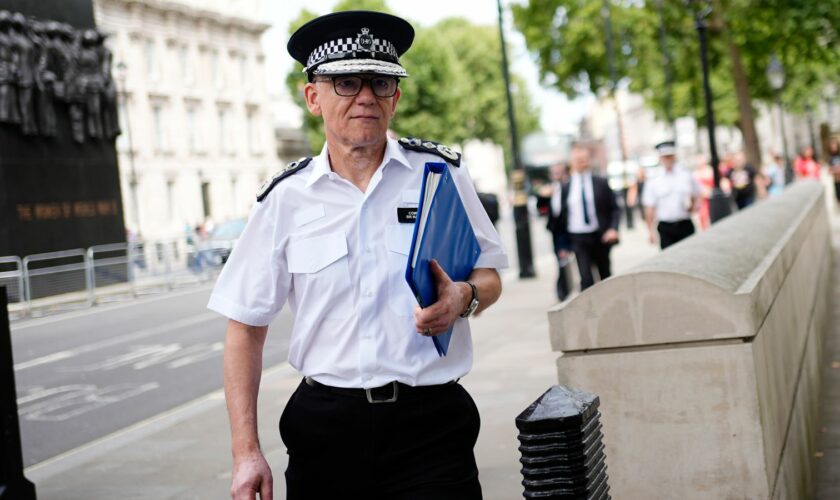 Met Police chief says 'fears of extreme-right disorder abated' after 'show of unity from communities'