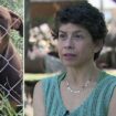 Texas family shoots pit bulls who attacked, killed their livestock: 'I live in fear for my life'