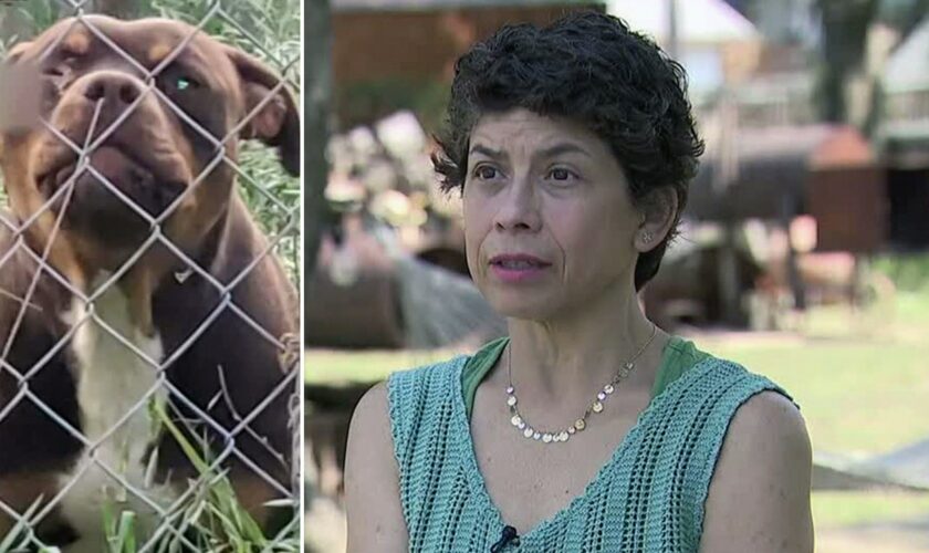 Texas family shoots pit bulls who attacked, killed their livestock: 'I live in fear for my life'