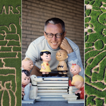 Farmers carve ‘Peanuts’ comic characters in corn mazes nationwide to celebrate 75-year anniversary