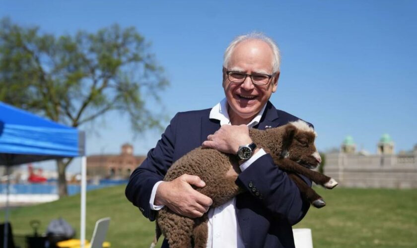 Présidentielle américaine : Tim Walz, un « papa fun du Midwest » qui rassure les démocrates (et au delà ?)