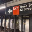 Woman pleads guilty to pushing female stranger into oncoming train at Times Square subway station