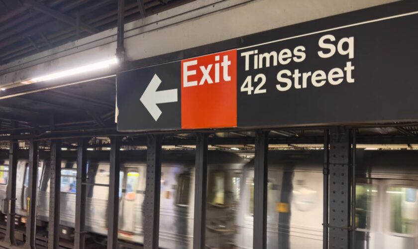 Woman pleads guilty to pushing female stranger into oncoming train at Times Square subway station